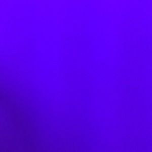 Meet your Posher, Rose